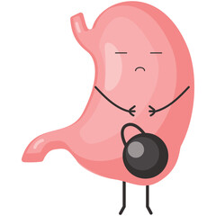 Heaviness in stomach vector. Stomachache icon. Cute cartoon internal human digestive organ character sad face and weight kettlebell illustration isolated on white background
