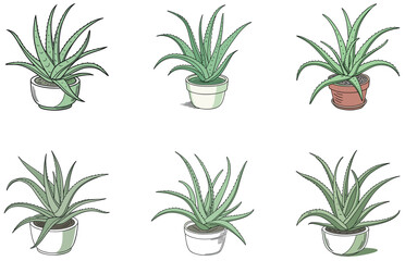 Aloe Vera in Pot Vector Designs Set Cute and Minimal Succulent Plant Clipart Collection