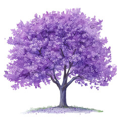 Naklejka premium Purple Blossom Tree Canopy, watercolor clipart vector, isolated on a white background.