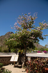 MISION DE SAN JAVIER EN LORETO BAJA CALIFORNIA SUR MEXICO