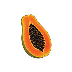 Close-up vector illustration of a halved papaya with black seeds on a white background, Whole and Sliced Papaya Cartoon Illustration with Seeds