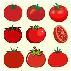 Vegetable Tomato Vector Set 1