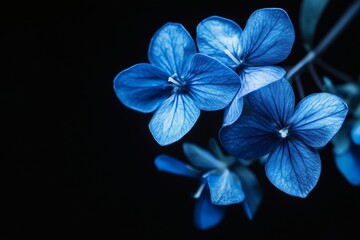 Illustration of magical forest filled with night blooming flowers glowing in moonlight.