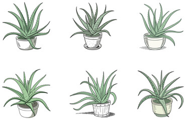 Aloe Vera in Pot Vector Designs Set Flat Minimal Succulent Illustrations for Creative Projects