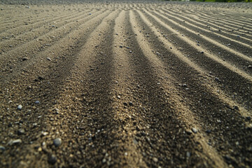Wind patterns carve endless sand dunes in a desert landscape