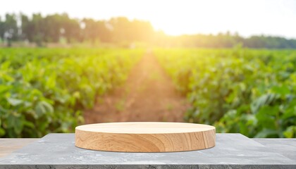 Wooden podium on farm field background.