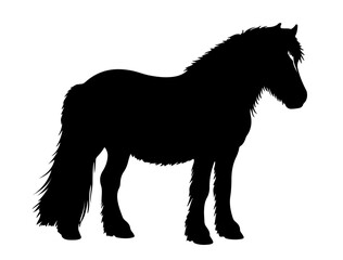 Dales Pony in silhouette pure white background