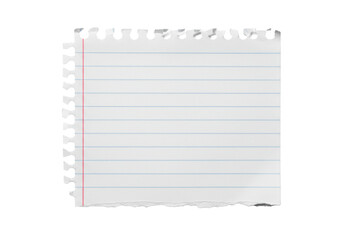 white notebook paper with blue horizontal lines and a red vertical line, authentically ripped edges showing natural tears and visible fibers, on a transparent background, even studio lighting,