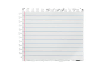 white notebook paper with blue horizontal lines and a red vertical line, authentically ripped edges showing natural tears and visible fibers, on a transparent background, even studio lighting,