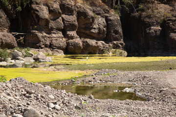 OASIS DE SAN JAVIER EN LORETO BAJA CALIFORNIA SUR MEXICO
