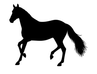  Jaguar in silhouette vector pure white background.