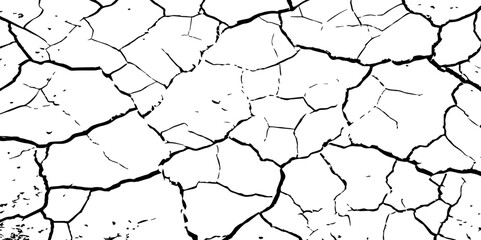 A high-contrast black and white texture depicting dry, cracked earth. The fragmented surface forms an organic mosaic of irregular shapes, with sharp, dark lines outlining each segment.