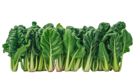 Fresh green swiss chard isolated on transparent background