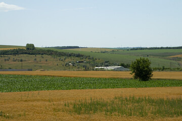 Obraz premium A large field with a house in the distance