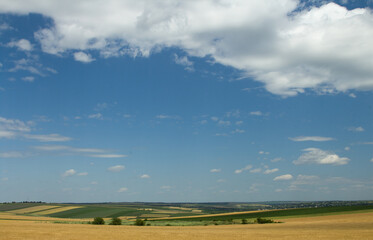 A field with a blue sky and clouds