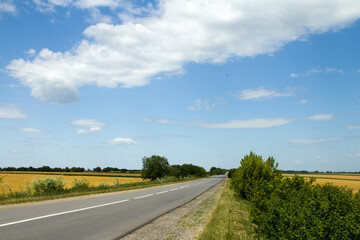 A road with grass and trees on both sides
