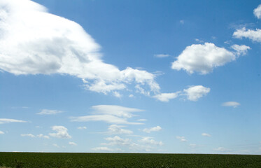 A grassy field with clouds in the sky