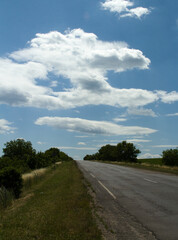 A road with grass and trees on both sides