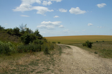 A dirt road through a grassy field