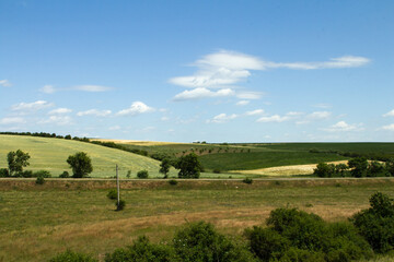 A green field with trees and blue sky