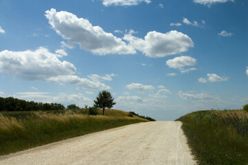 A dirt road with grass and trees on either side of it