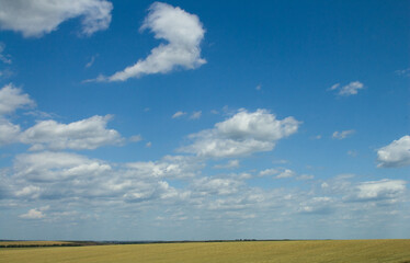 A large field with blue sky and clouds