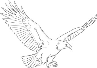 Obraz premium Detailed Line Drawing of a Majestic Eagle in Flight