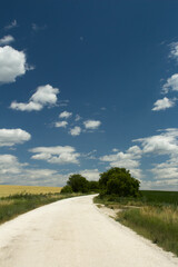 A road with grass and trees on both sides