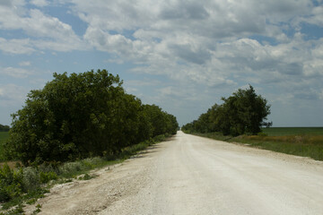 A dirt road with trees on either side of it