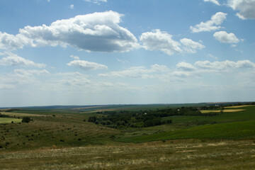 A grassy field with trees and blue sky