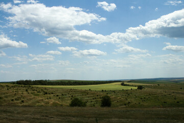 Fototapeta premium A grassy field with trees in the background