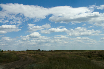 Fototapeta premium A field with grass and blue sky