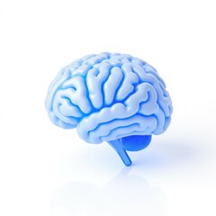 A detailed 3D rendering of a human brain. The illustration depicts the various lobes and structures of the brain, including the cerebrum, cerebellum, and brain stem.  The image highlights the intricat