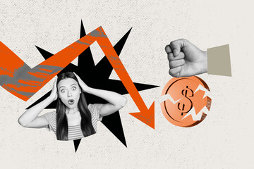Trend artwork banner photo collage of shocked younhh lady hand hold head fist crack coin arrow downwards crisis investor business budget