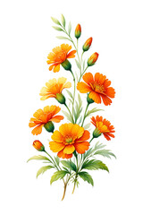 Vibrant Orange Marigold Bouquet Isolated PNG on Transparent Background