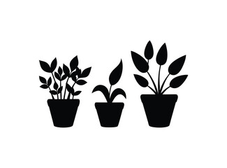Fototapeta premium A set of flower in pots Silhouette vector illustration