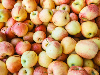 Freshly picked apples forming a colorful display at a farmers market