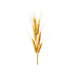 Fototapeta premium Golden Wheat Stalks Isolated on Transparent Background