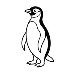 penguin on a white background