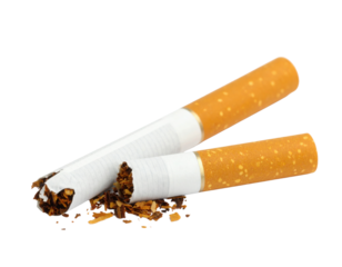 Two broken cigarettes with loose tobacco spilling out, showing damaged paper and filters.