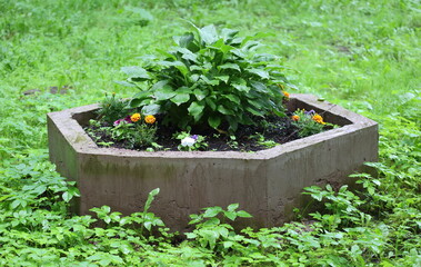 A hexagonal concrete flower bed with flowers and plants surrounded by green grass
