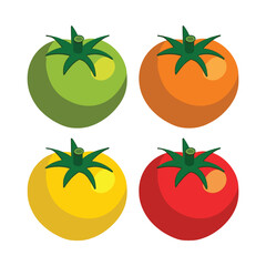 Tomato icon set. Flat illustration of tomato vector icons for web design