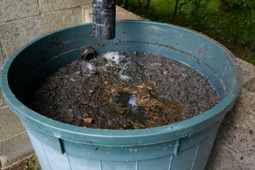 Fermenting water butt mould forming on the surface of water after a warm, dry period