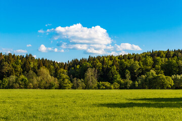 Nature background with view of green field and forest against blue sky