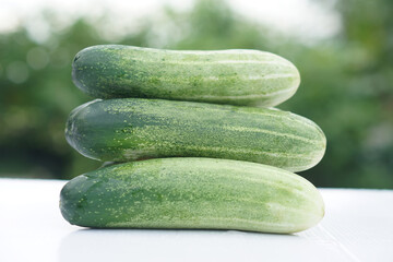 Fresh cucumbers, harvested from organic garden, stacked neatly outdoors. Concept, A pesticide-free kitchen vegetable known for its crisp texture, hydrating properties, and digestive health benefits. 