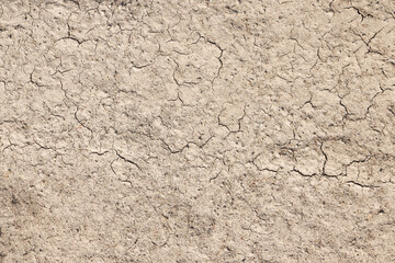 dirt texture background land ground soil
