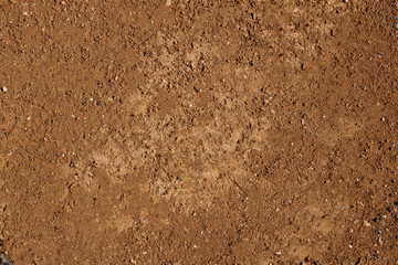 dirt texture background land ground soil
