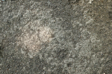 dirt texture background land ground soil
