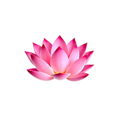 A close-up view of a vibrant pink lotus flower blossom against a black background.