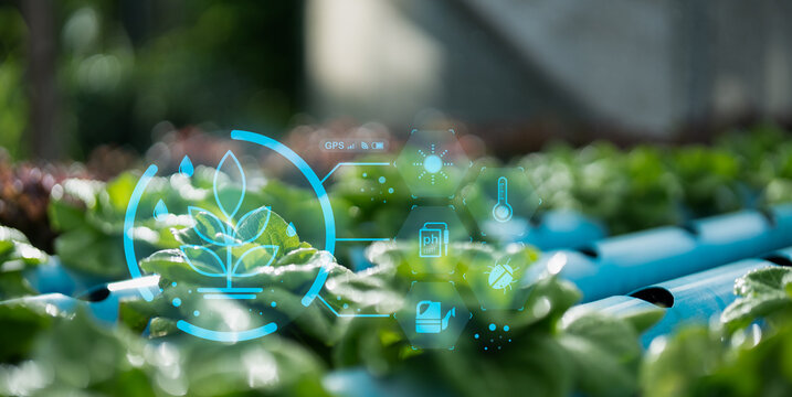 A futuristic hydroponic farm with leafy greens and digital overlays displaying environmental and growth data. - Powered by Adobe
